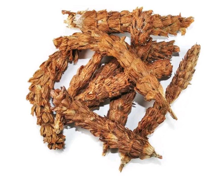 护肝 “圣药” 夏枯草