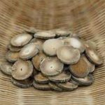 橘红为饮化寒痰