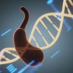 积极治疗，提升胰腺癌长期生存