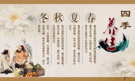 春夏养阳秋冬养阴