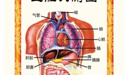 心者，五脏六腑之大主也