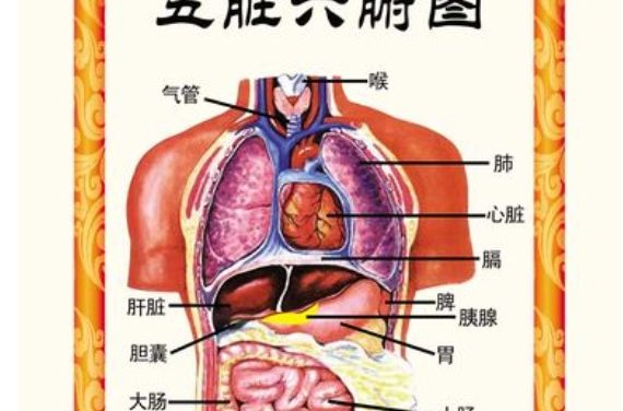 心者，五脏六腑之大主也