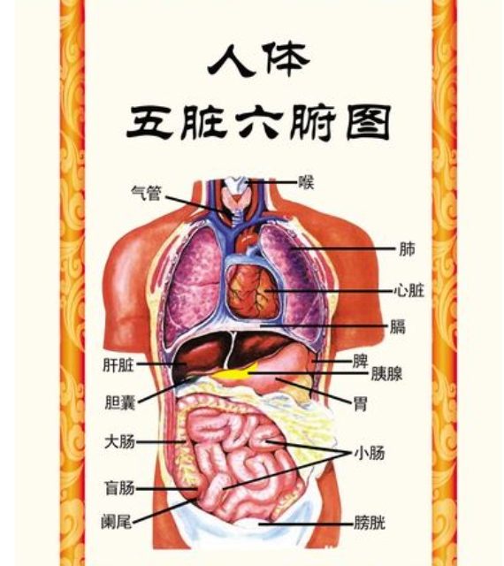 心者，五脏六腑之大主也