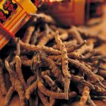 虫草非神药    性价比不高
